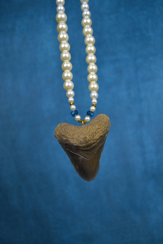 Shark tooth Pearl necklace blue